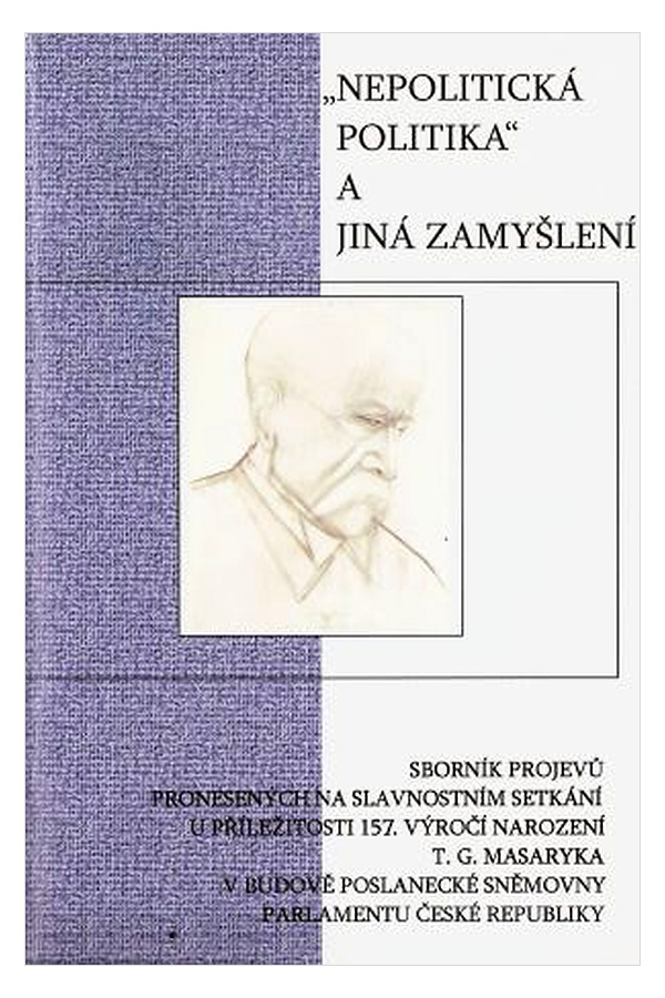Nepolitická politika a jiná zamyšlení