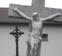 bujna_bib