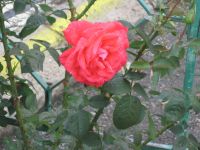 bibl_02