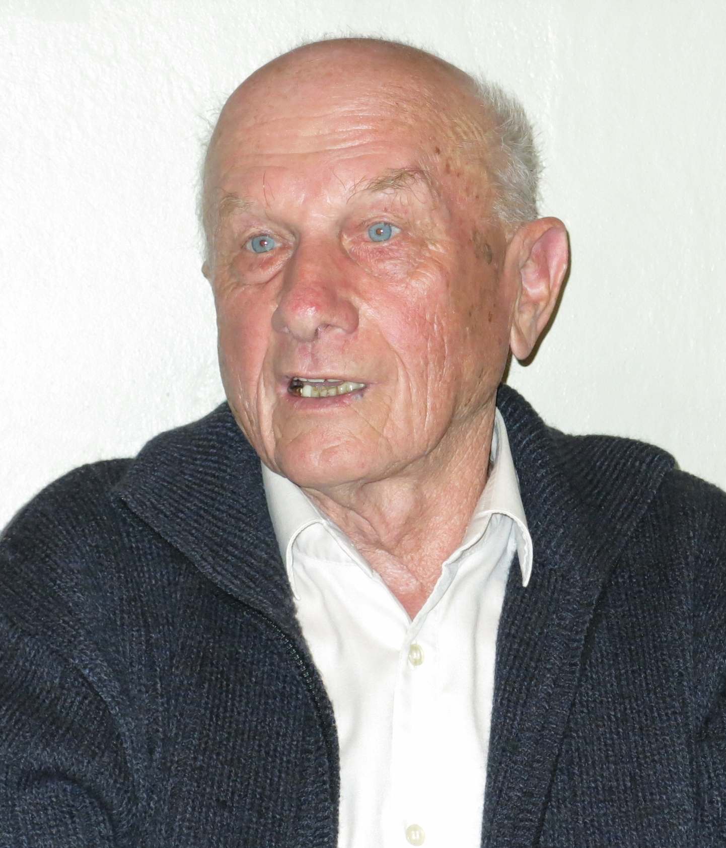 Doc. F. Vetika