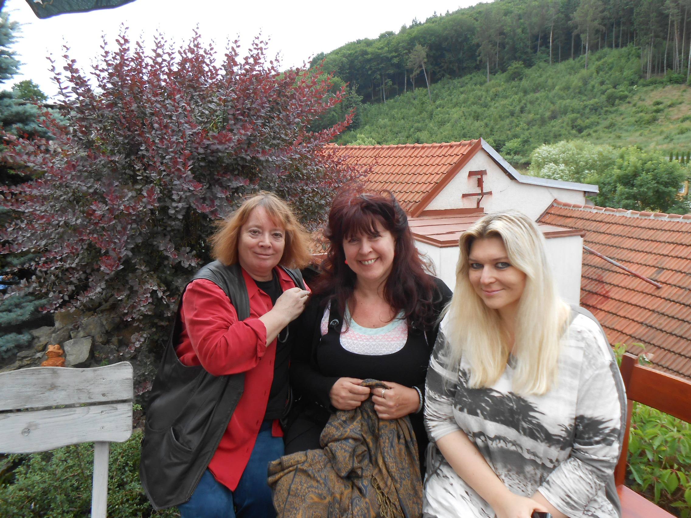 O. Nytrová, M. Hlasivcová, Z. Malaniková