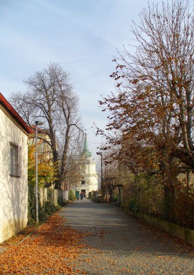 loffelmann_obr