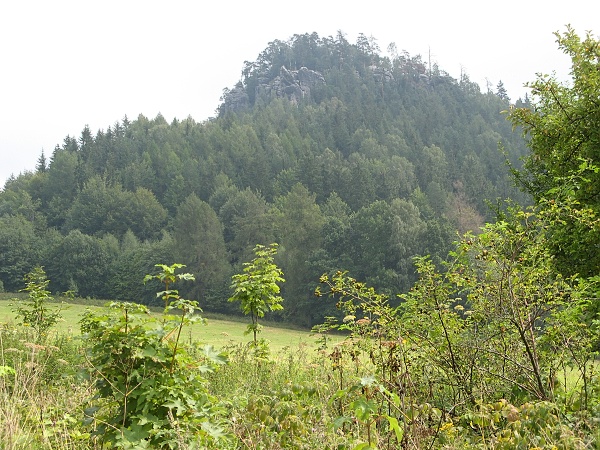 marek_obr