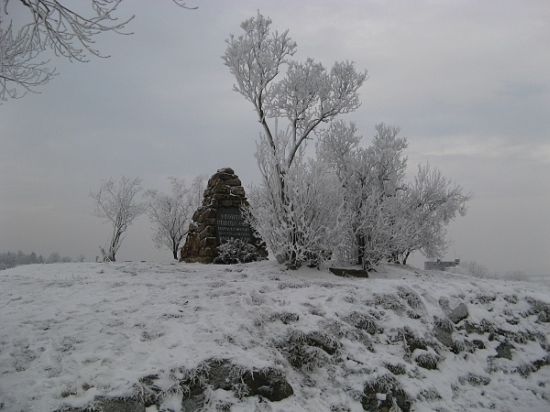 marek_obr