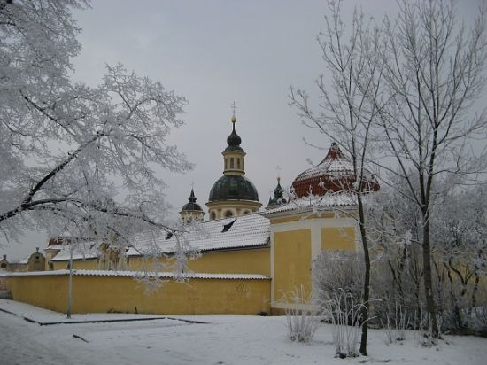 marek_obr