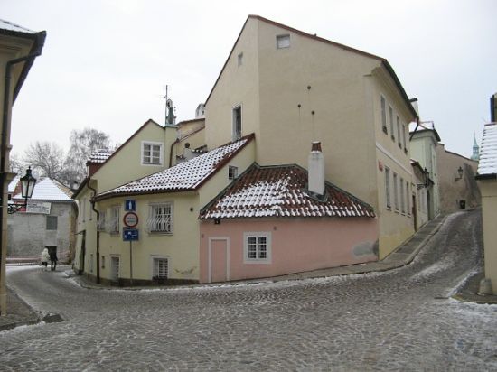 marek_obr
