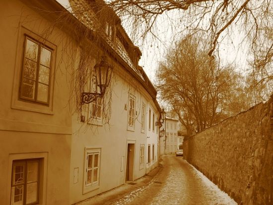 marek_obr