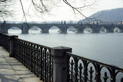 pacovsky_obr