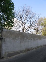 balaban_cteme