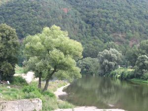 matine012004