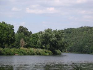 matine012004