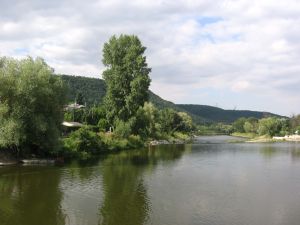matine012004
