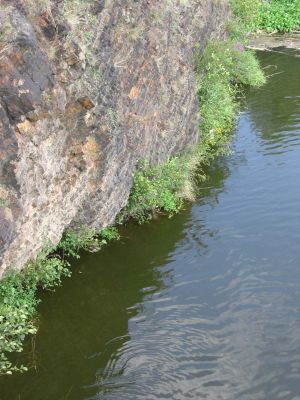 matine012004