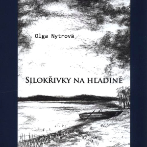 Silokrivky na hladině