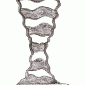 kalich 4